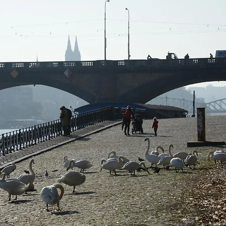 Luxurious 3bed Very Spacious In The Area Apartamento Praga